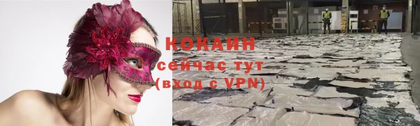 кокс Алзамай