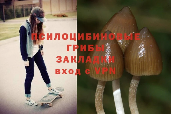 прущий лед Алексеевка