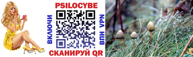 Галлюциногенные грибы Psilocybine cubensis купить Томари